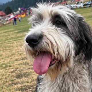 Foto de MAYA