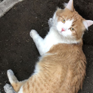 Foto de IKKI