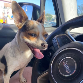 Foto de BEBA