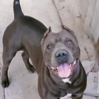 Foto de ZEUS