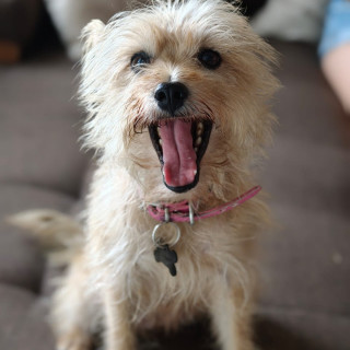Foto de DARLA