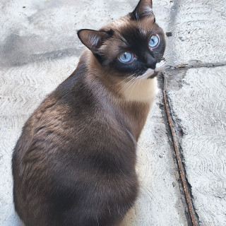 Foto de MICHA