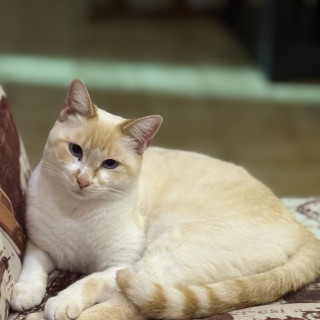 Foto de PRINCESA