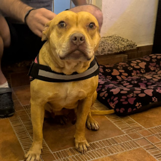 Foto de 