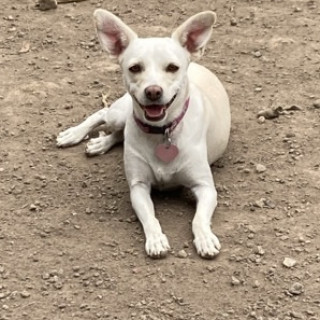 Foto de MAYONESA