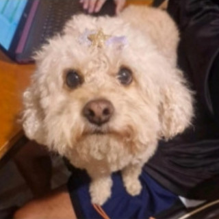 Foto de MILKI