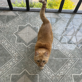 Foto de MICHI