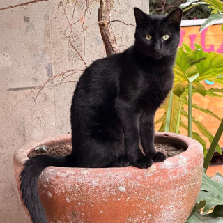 Foto de MATUTE