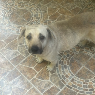 Foto de 
