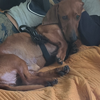 Foto de CHACHO