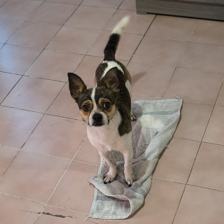 Foto de RONY