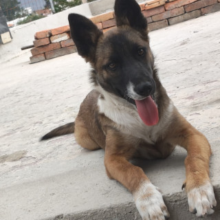 Foto de MOKA