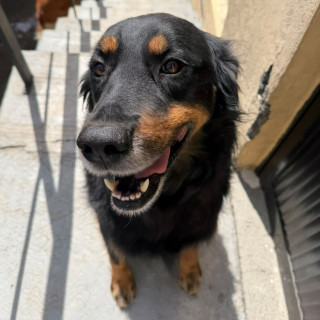 Foto de MAX