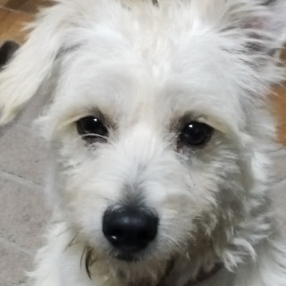 Foto de 