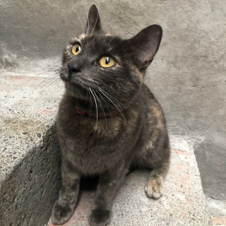 Foto de 