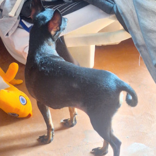 Foto de MORA