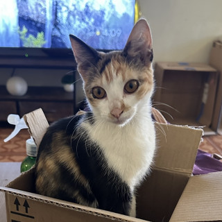 Foto de BRUNA