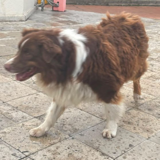 Foto de 