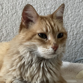 Foto de 