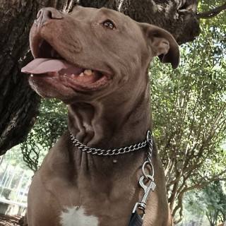 Foto de MOLLY