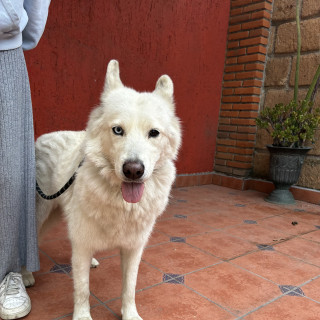 Foto de 