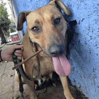 Foto de 