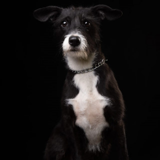Foto de OSITA
