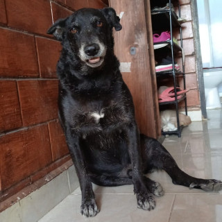 Foto de TUTO