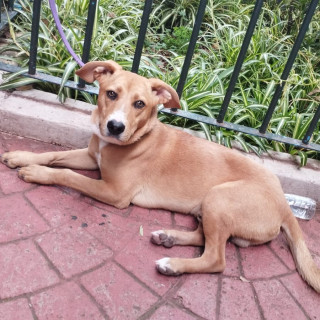Foto de 