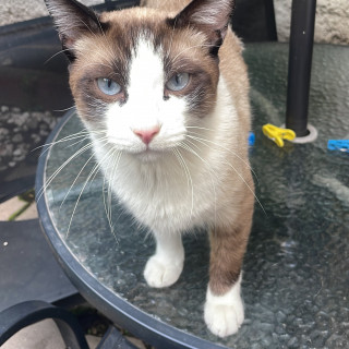 Foto de 