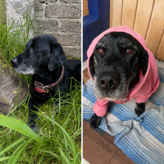 Foto de FRIDA