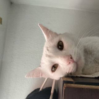 Foto de 