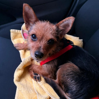 Foto de KIKI