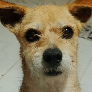 Foto de 