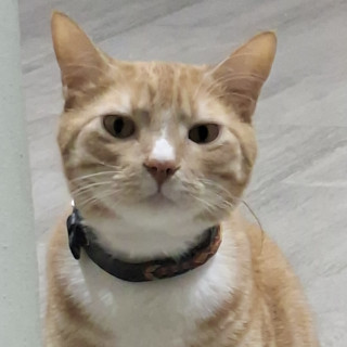 Foto de MICHO