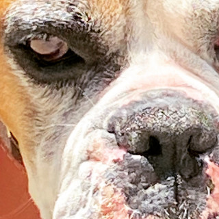 Foto de PIRATA O CHATO