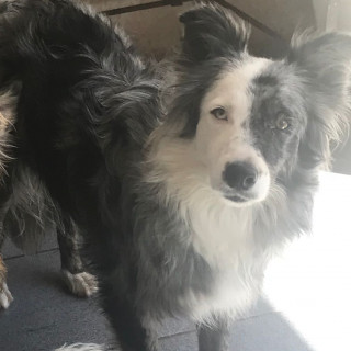 Foto de KYRA