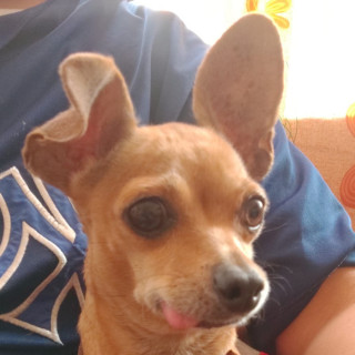 Foto de TUFA