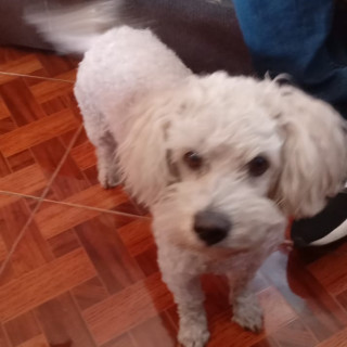 Foto de DIEGO