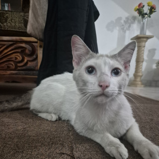 Foto de 