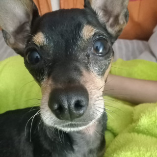 Foto de JIN