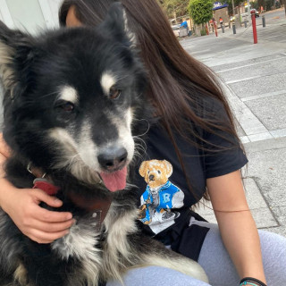 BLACKY | Raza Husky Siberiano | Final Feliz