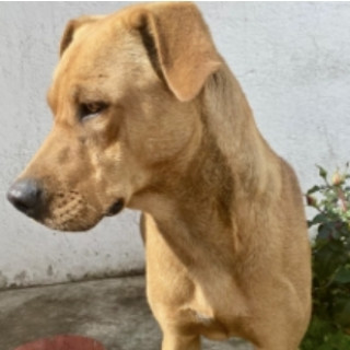 Foto de SERGIO (CHECO)