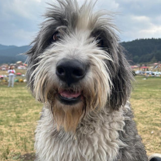 Foto de MAYA