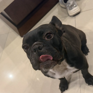 Foto de MAYA