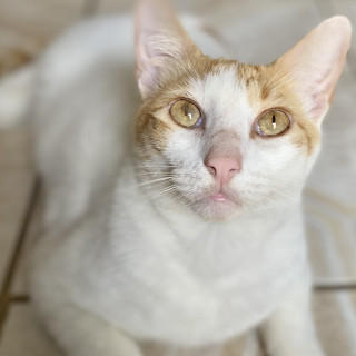Foto de GÜERO