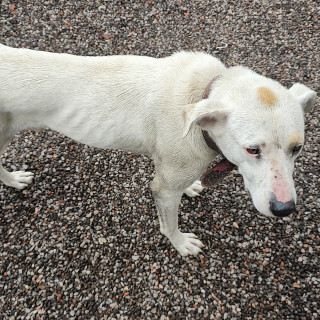 Foto de 