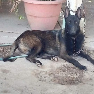 Foto de TURKO