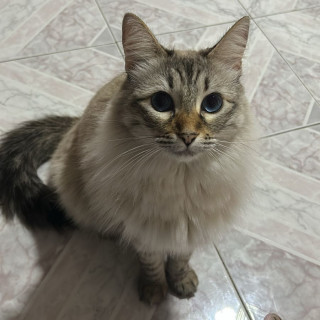 Foto de LEÍA