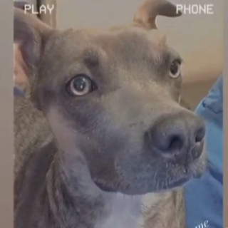 Foto de KIRA